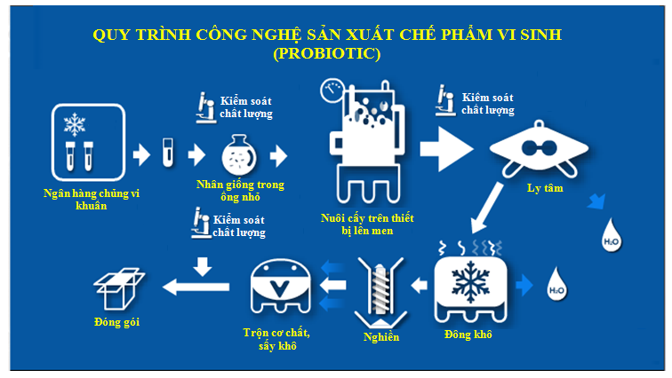 Quy trình sản xuất vi sinh: Hướng Dẫn Toàn Diện và Cập Nhật Mới Nhất